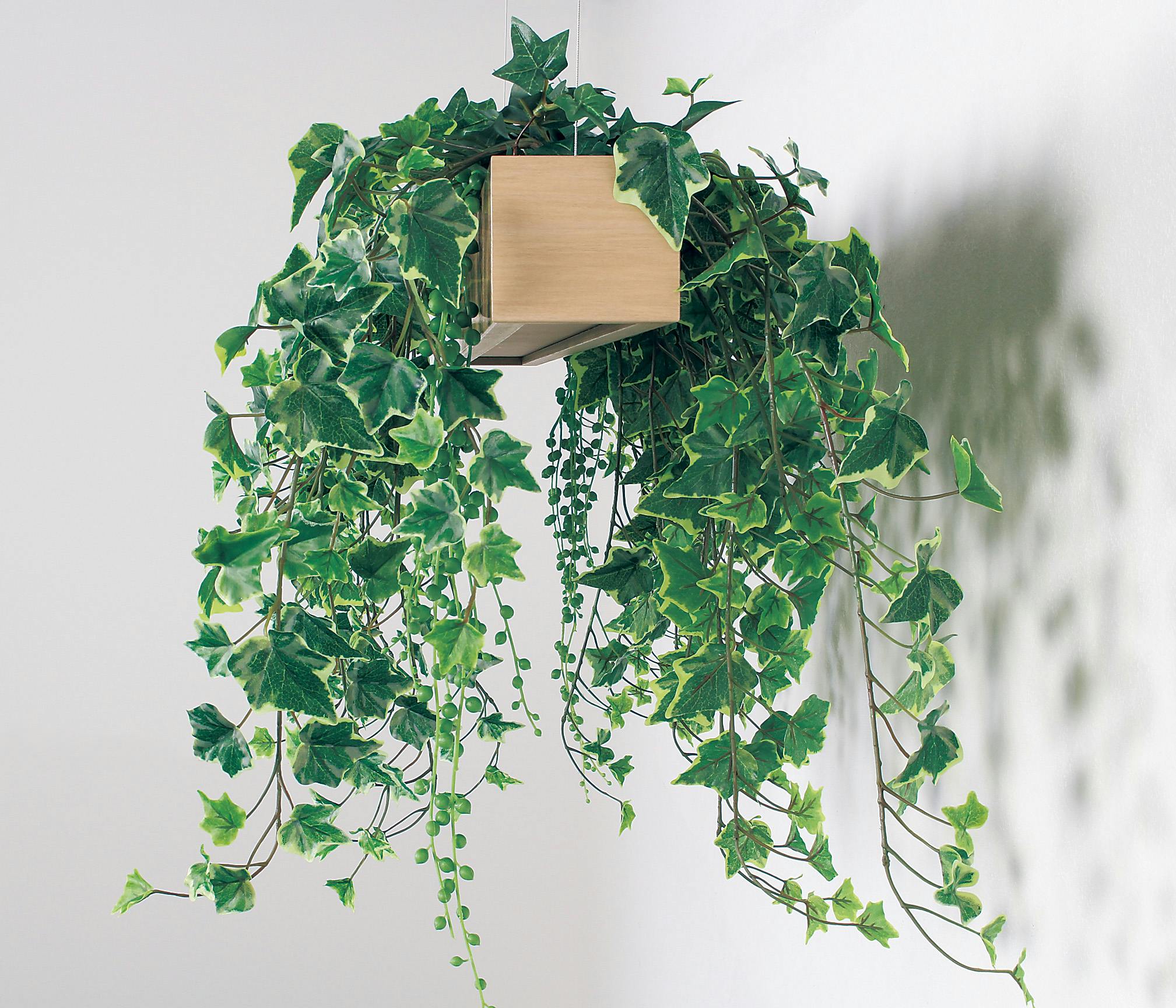 ハンキングセット ハンキングセット Amazon.co.jp: ZX popular 洗濯ハンガー 8連