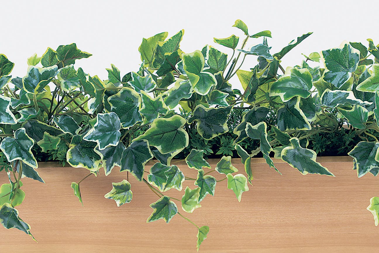 グリーンメタモル　フォーゼス　ウェーブカット２個 卓上間仕切りポット GR4306 ｜フェイクグリーン 卓上 斜めボックス(中