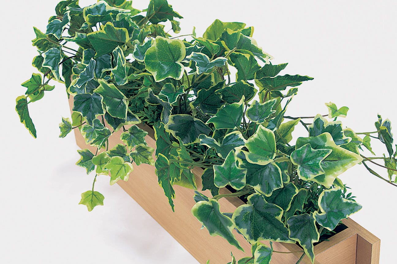 卓上ポット GR4460｜フェイクグリーン 卓上間仕切りポット シンプル