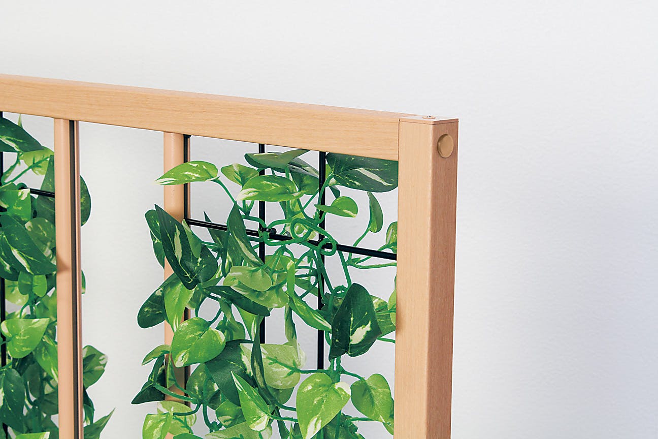 正規代理店】BELK GreenMode ベルク グリーンモード GR2230 ボックス