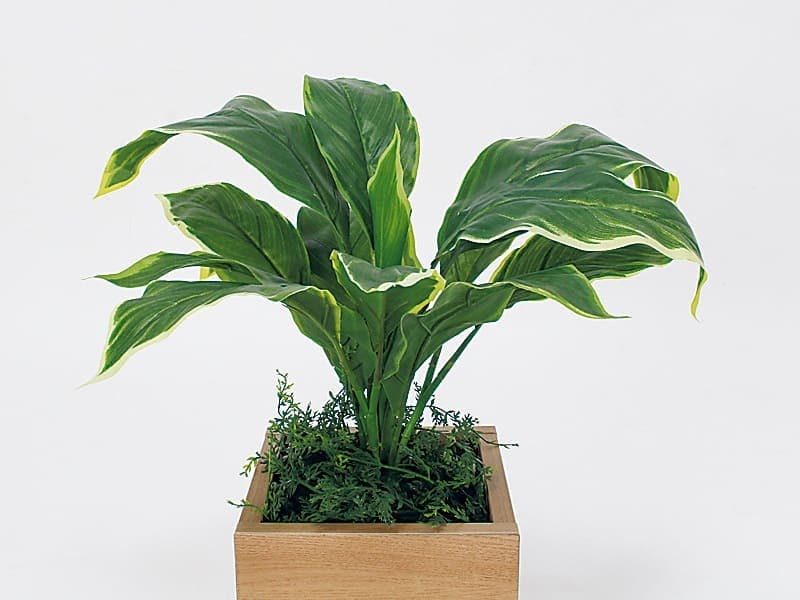 卓上ポット GR4478｜フェイクグリーン 卓上 キューブタイプ ナチュラル