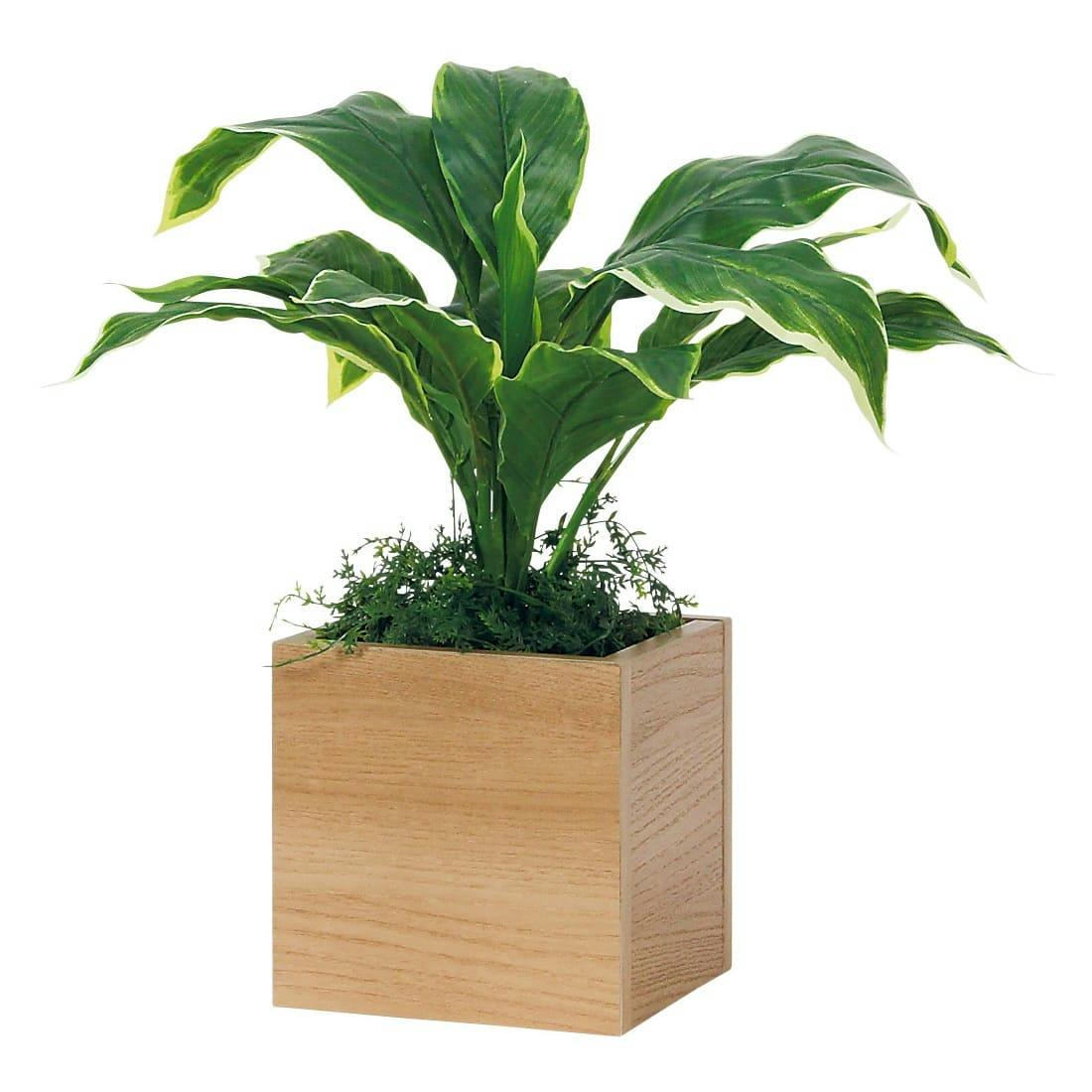 卓上ポット GR4478｜フェイクグリーン 卓上 キューブタイプ ナチュラル