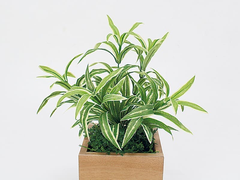 卓上ポット GR4480｜フェイクグリーン 卓上 キューブタイプ ナチュラル