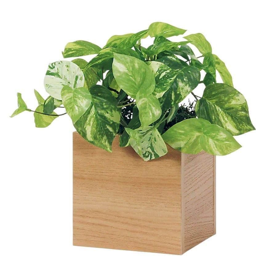 卓上ポット GR4481｜フェイクグリーン 卓上 キューブタイプ ナチュラル