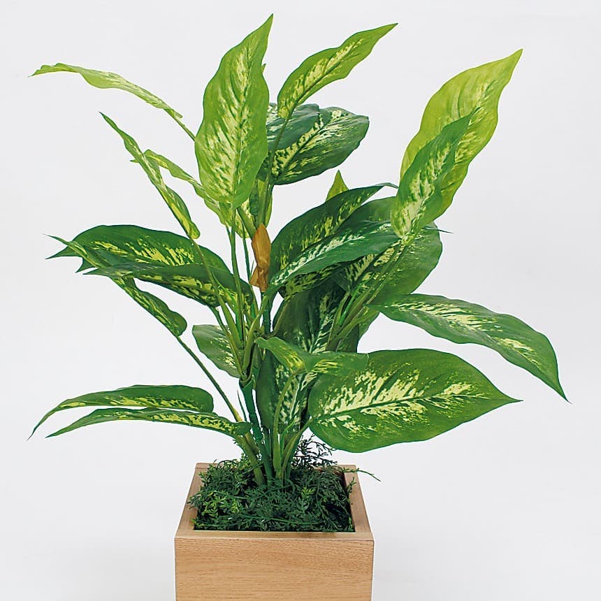 卓上ポット GR4483｜フェイクグリーン 卓上 キューブタイプ ナチュラル