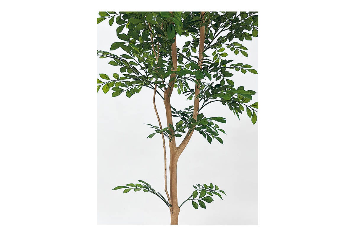ボックスプランター GR5072 トネリコ H1700｜人工観葉植物 樹木