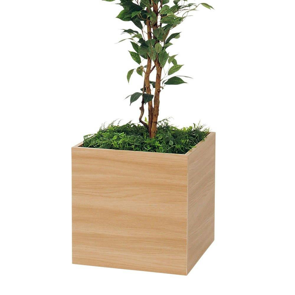 ボックスプランター GR5075 スリムベンジャミン H2050｜人工観葉植物