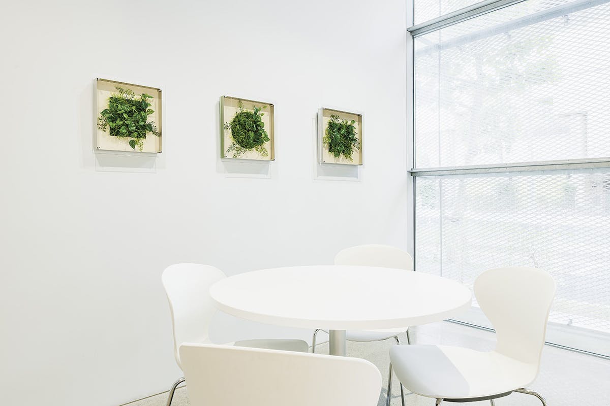 アートグリーン GR3710｜フェイクグリーン 壁掛け 立体グリーンアート