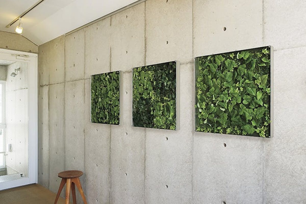 ンテリアデコ ウォールグリーン