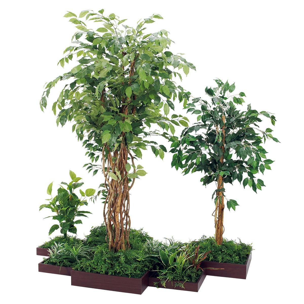 組み合わせプランター GM5729 7連 フィカスベンジャミン H1800｜人工