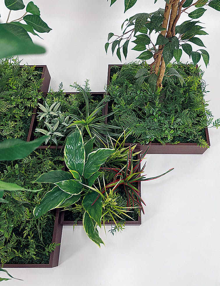 組み合わせプランター GM5729 7連 フィカスベンジャミン H1800｜人工