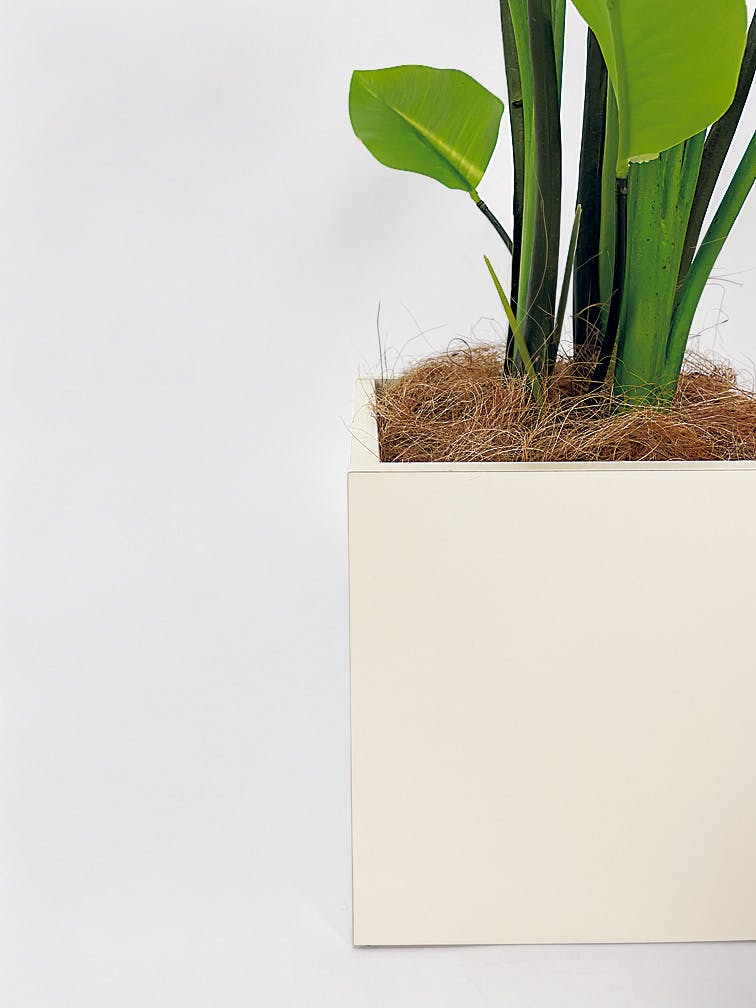 ボックスプランター GR5079 オーガスタ H1400｜人工観葉植物 樹木