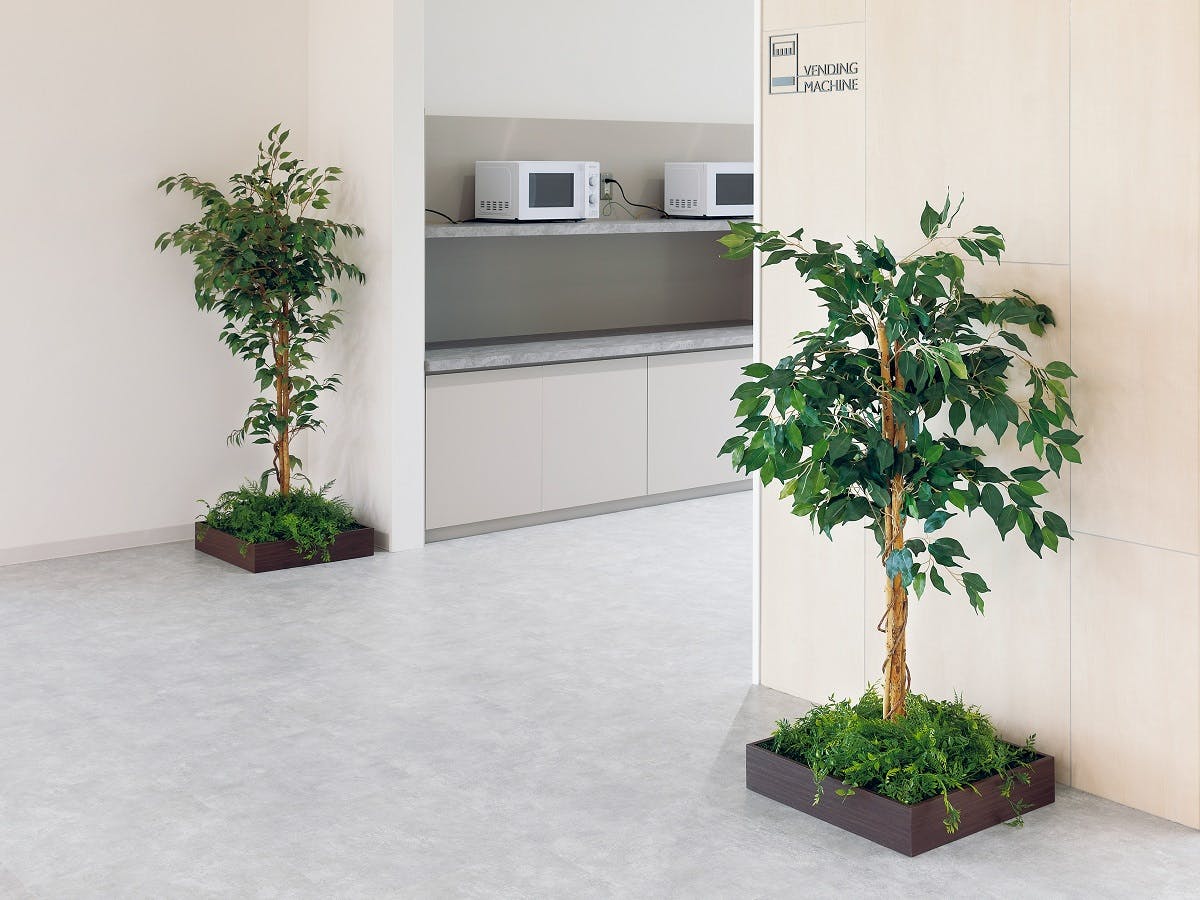 組み合わせプランター GR5083 フィカスベンジャミン H1600 ｜人工観葉