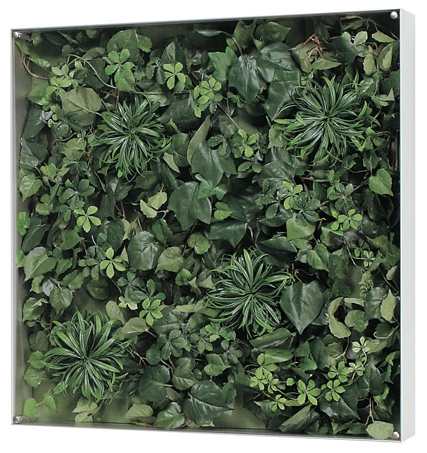 ウォールグリーン GR3120 ｜フェイクグリーン 壁掛け BOXフレーム