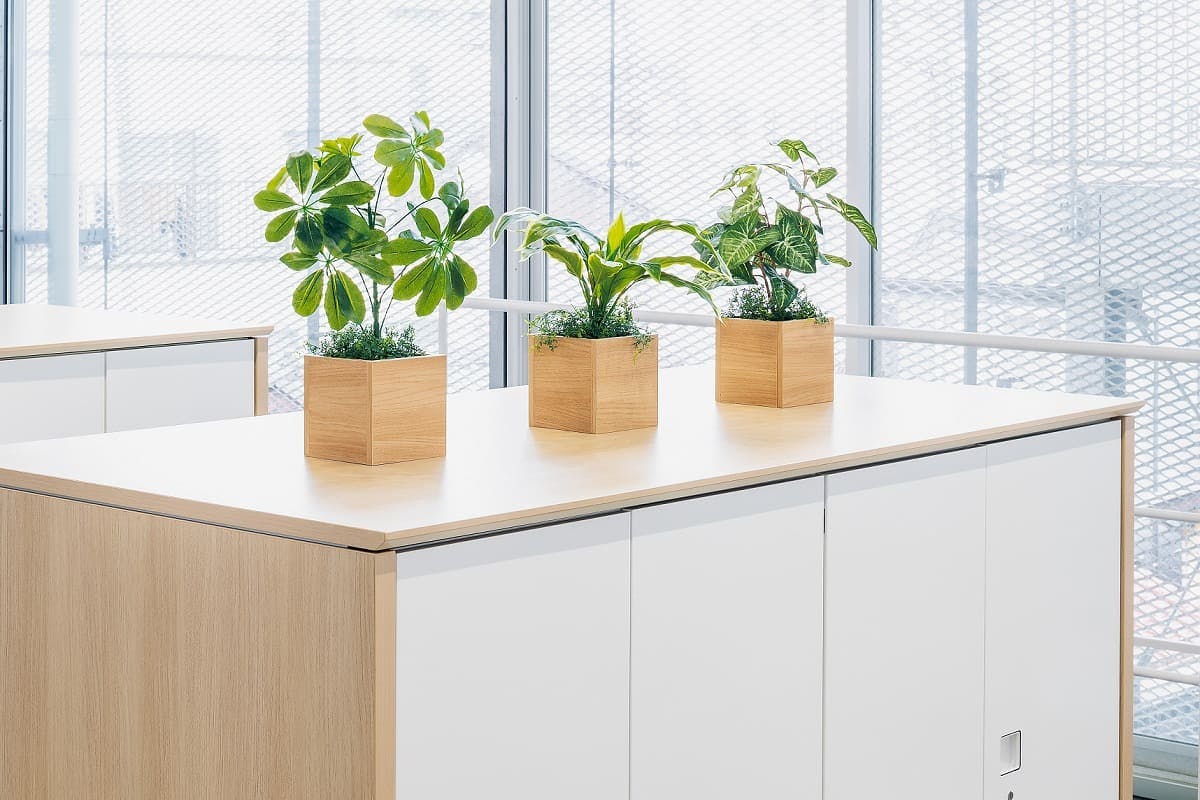 卓上ポット キューブタイプ GR4482×1、GR4478×1、GR4479×1｜グリーン