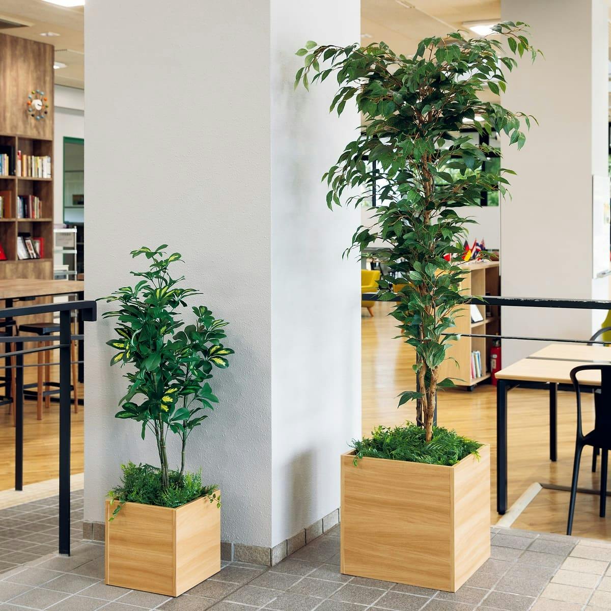 Nearly Natural 人工樹木 金のなる木 ホワイトプランター付1.2m