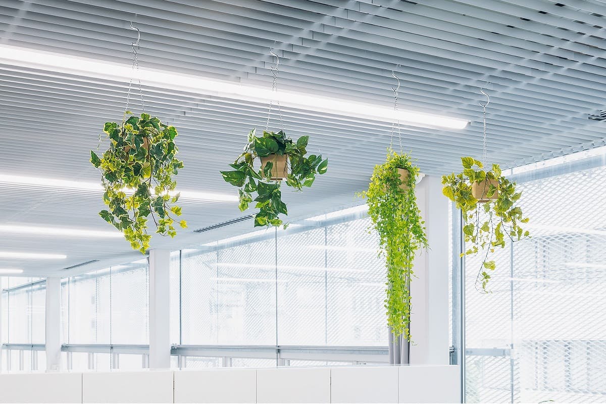 ハンギングポット 吊下げポット GR4452×1、GR4455×1、GR4454×1、GR4453