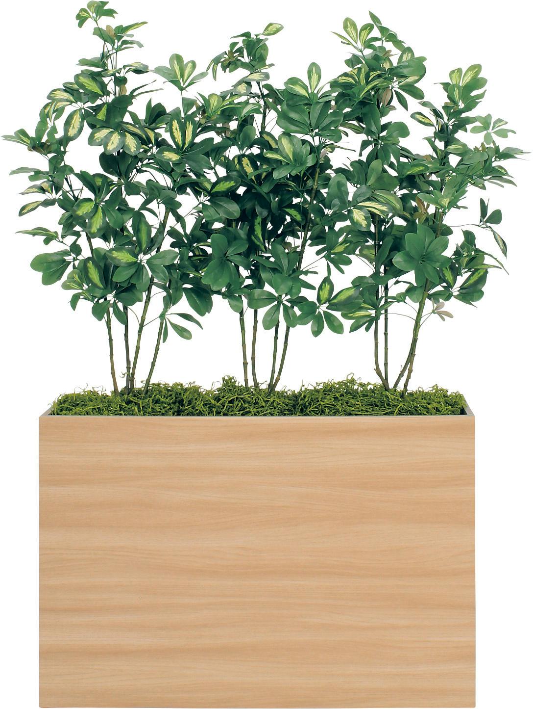 人工樹木 ワイドパーテーション GR5027×4｜グリーンモード セット商品