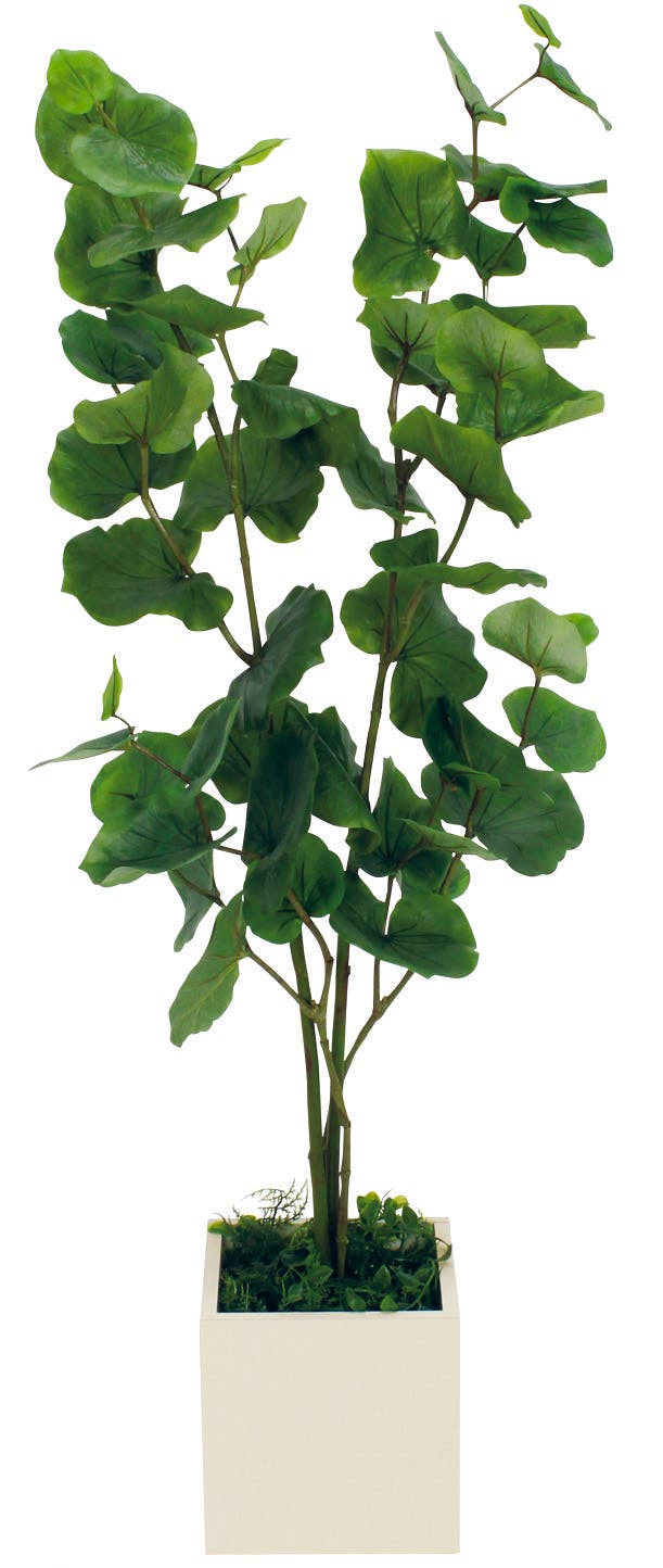 葉 ページ ボックスプランター GR5088 シーグレープ H1200｜人工観葉植物 樹木
