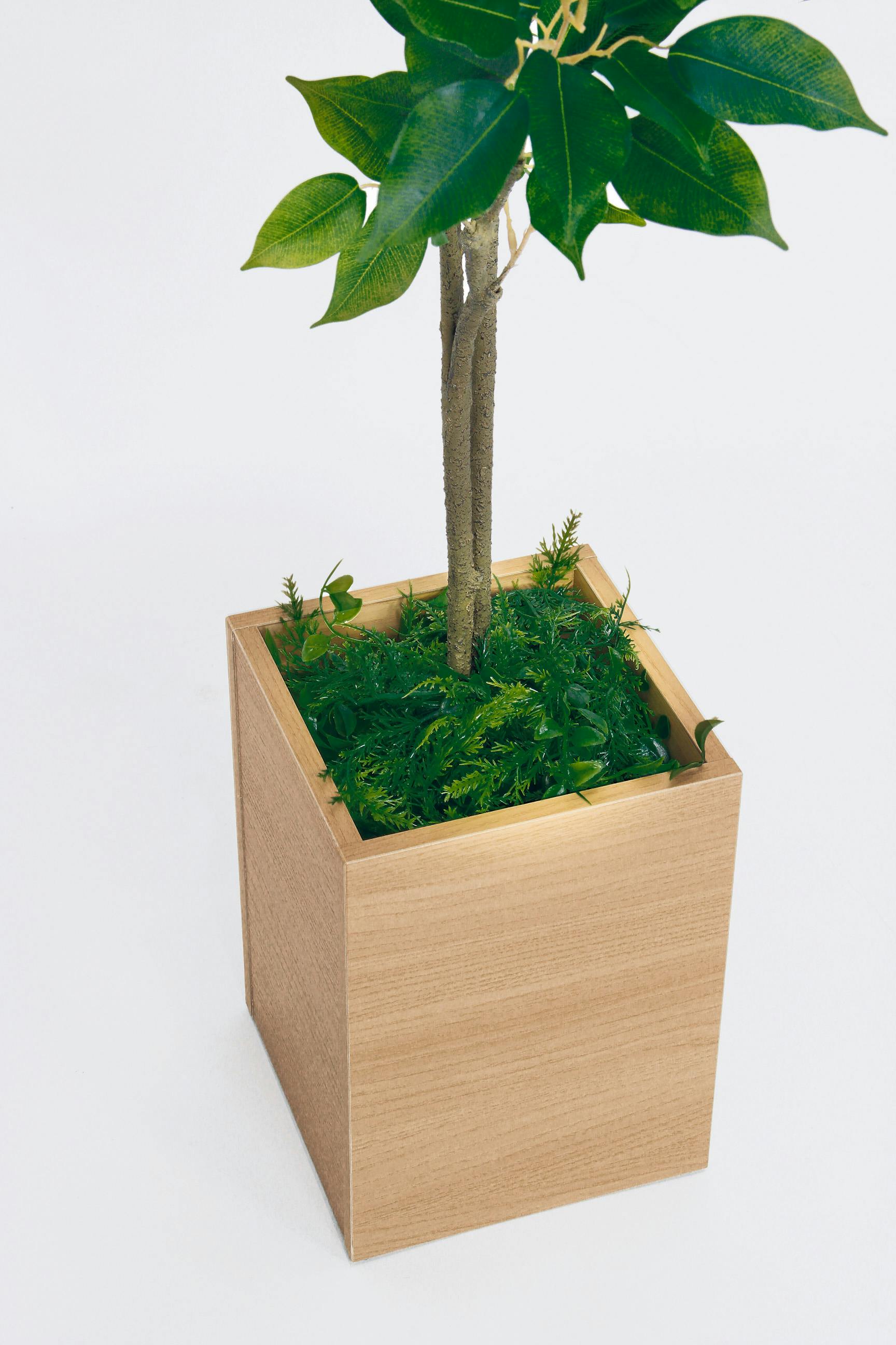 ボックスプランター GR5089 フィカスベンジャミン H1500｜人工観葉