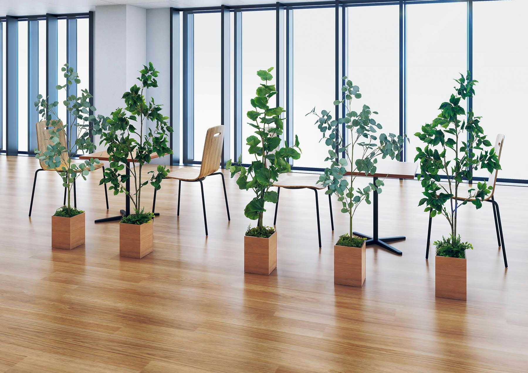 ボックスプランター GR5091 シーグレープ H1500｜人工観葉植物 樹木