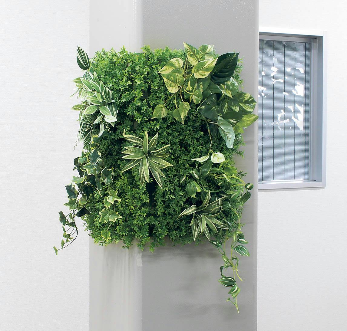 マグネットグリーン(単品) GR1247 50角｜フェイクグリーン 壁面緑化