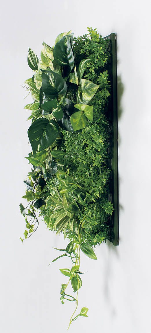 マグネットグリーン(単品) GR1247 50角｜フェイクグリーン 壁面緑化