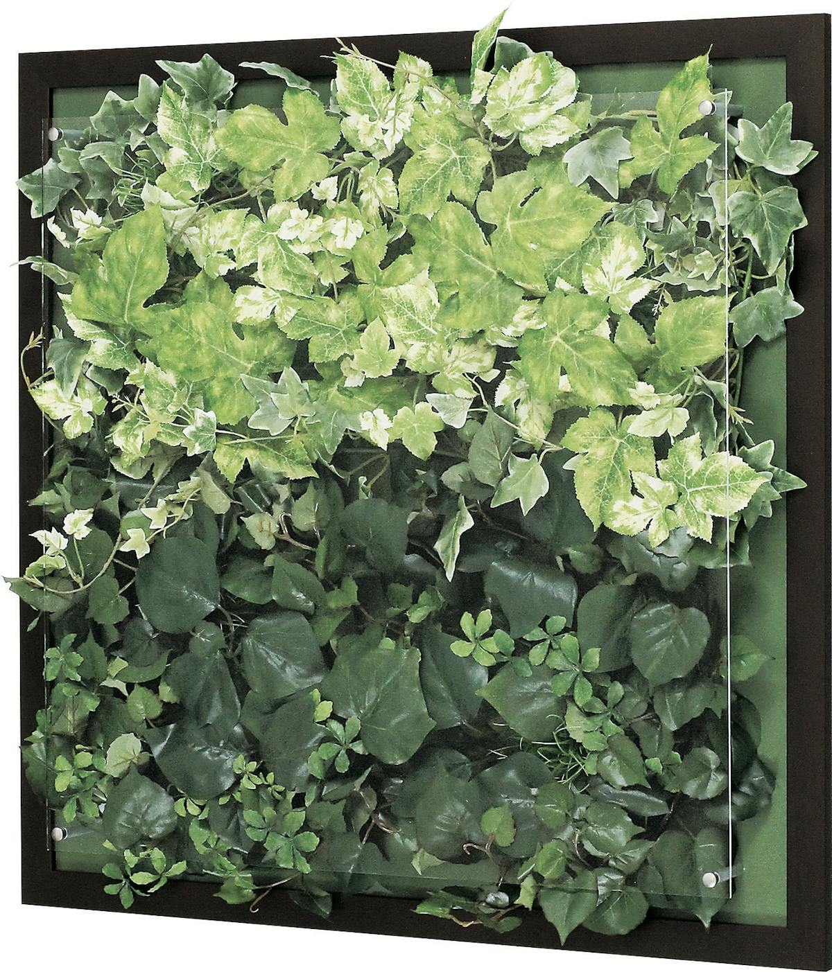 ウォールグリーン Gr3353 フェイクグリーン 壁掛け 木目フレーム セピア ウォールグリーン Gr3353 フェイクグリーン 壁掛け 木目フレーム セピア