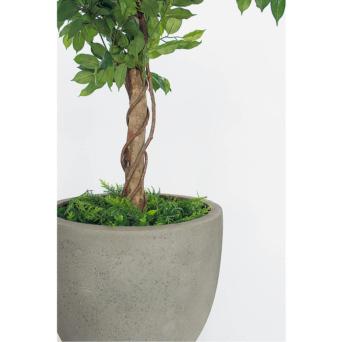 樹木プランター GR5092 H2100 フィカスベンジャミン｜人工観葉植物