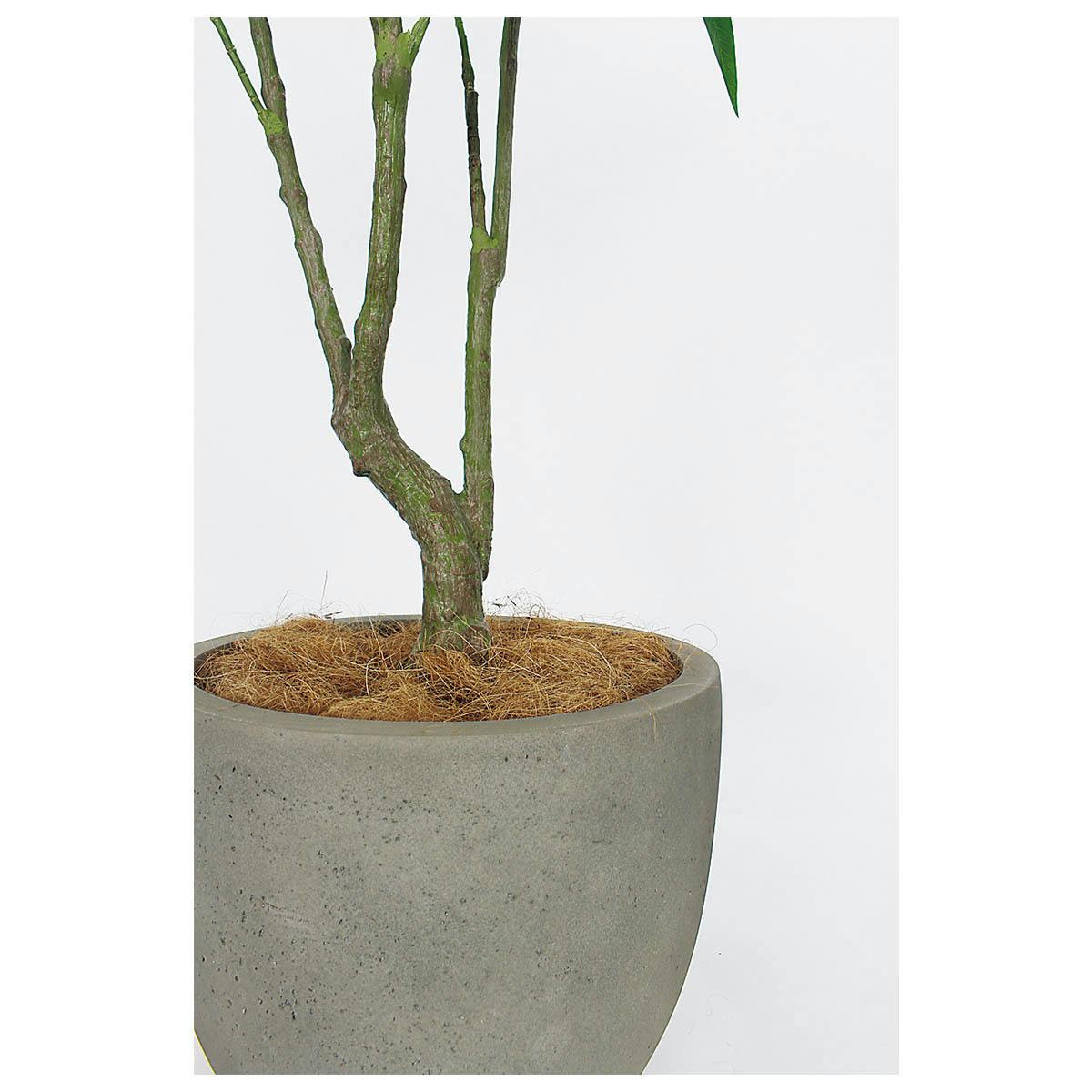樹木プランター GR5093 H2100 パキラ｜人工観葉植物 シンボルツリー
