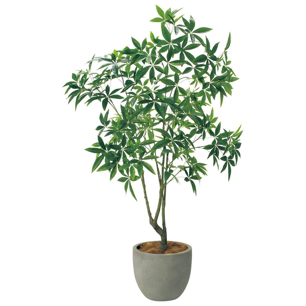 樹木プランター GR5093 H2100 パキラ｜人工観葉植物 シンボルツリー