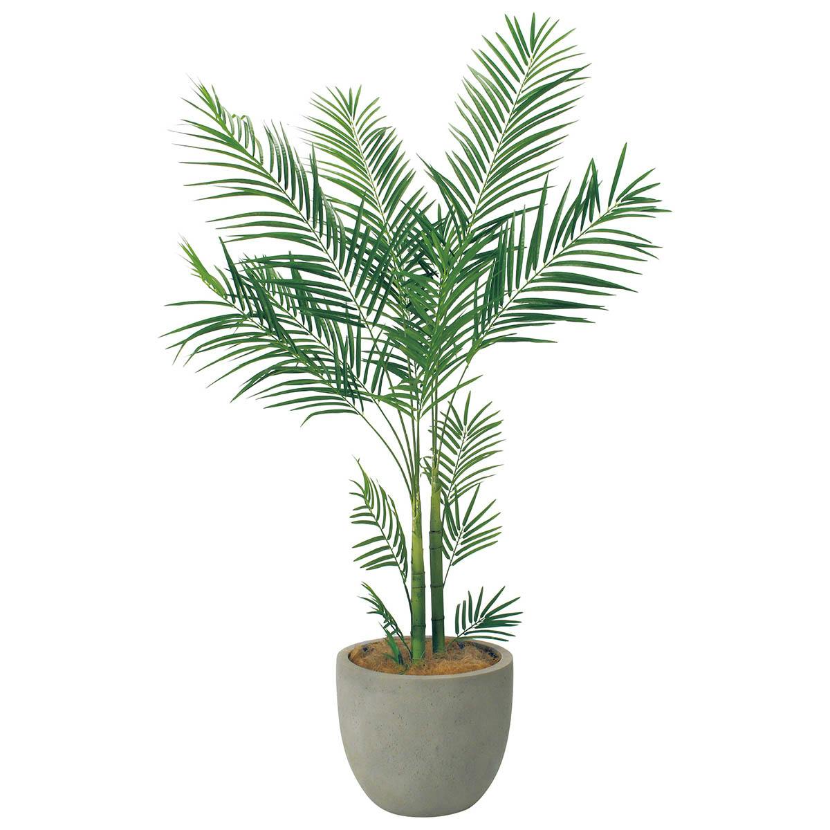 みんなの樹木  ネアリカ  【送料無料】 樹木プランター GR5094 H2050 アレカヤシ｜人工観葉植物 シンボル