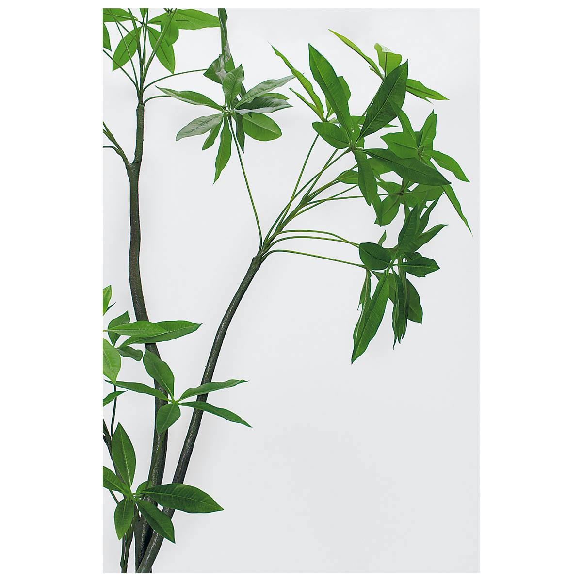 パキラページ 樹木プランター GR5097 H1800 パキラ｜人工観葉植物 丸鉢タイプ アイボリー