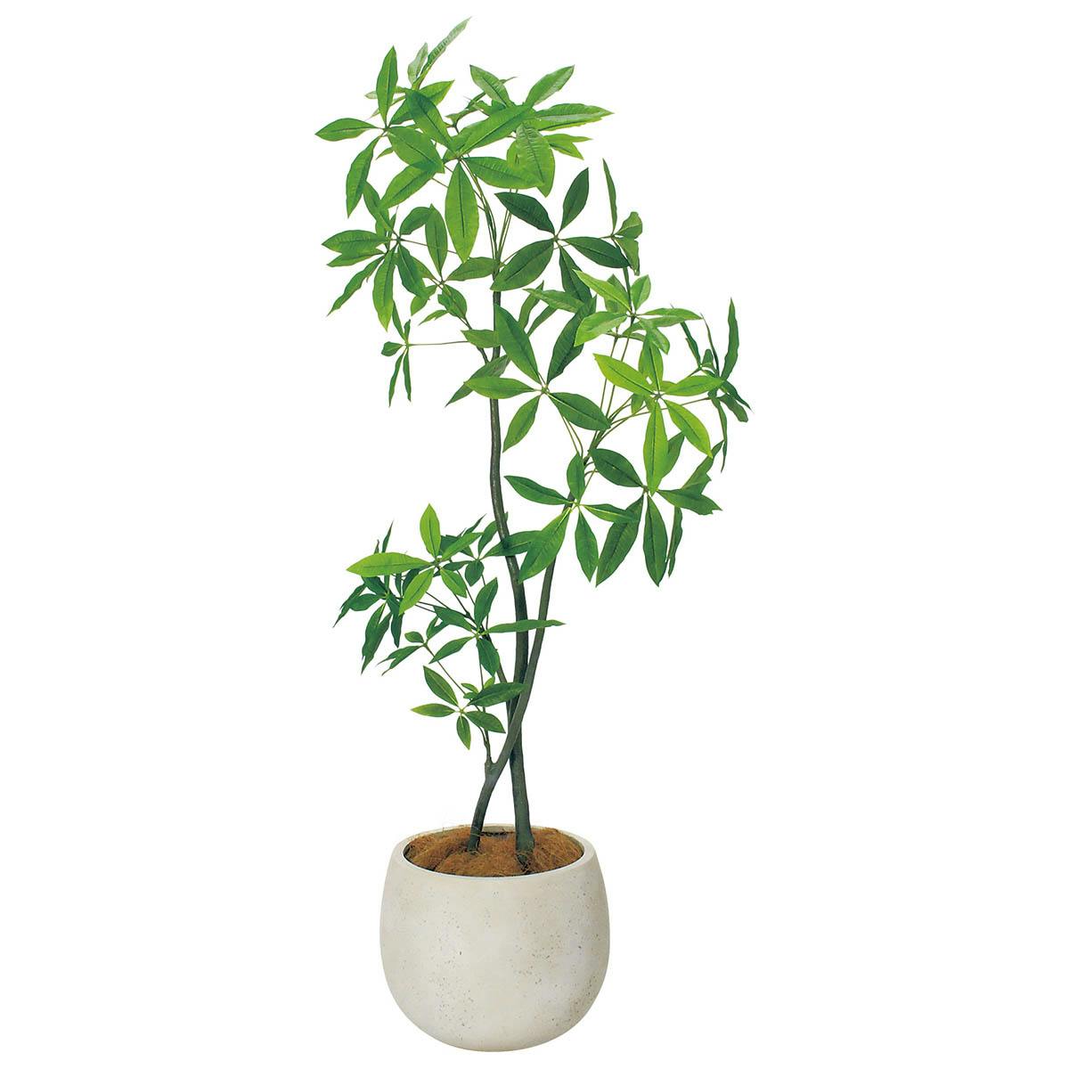 樹木プランター GR5097 H1800 パキラ｜人工観葉植物 丸鉢タイプ アイボリー