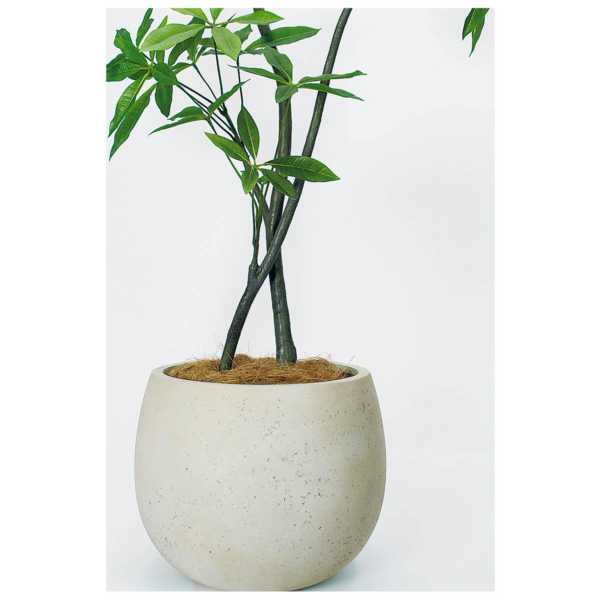 樹木プランター GR5097 H1800 パキラ｜人工観葉植物 丸鉢タイプ アイボリー