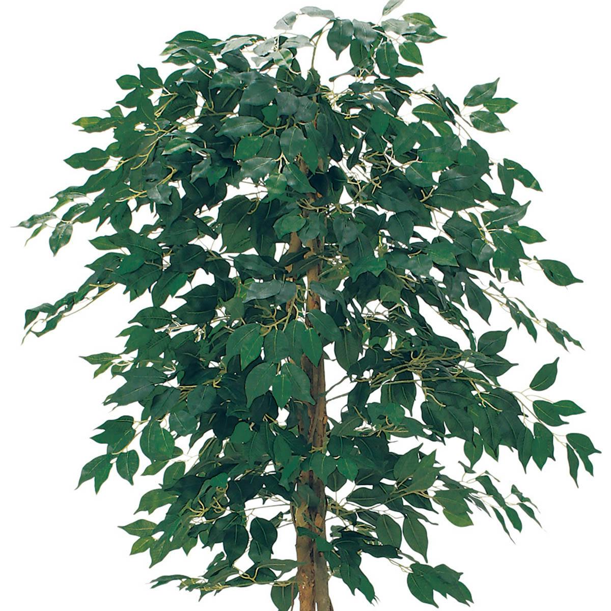 人工樹木 樹木プランター GR5110×1、GR5089×1｜グリーンモード セット商品