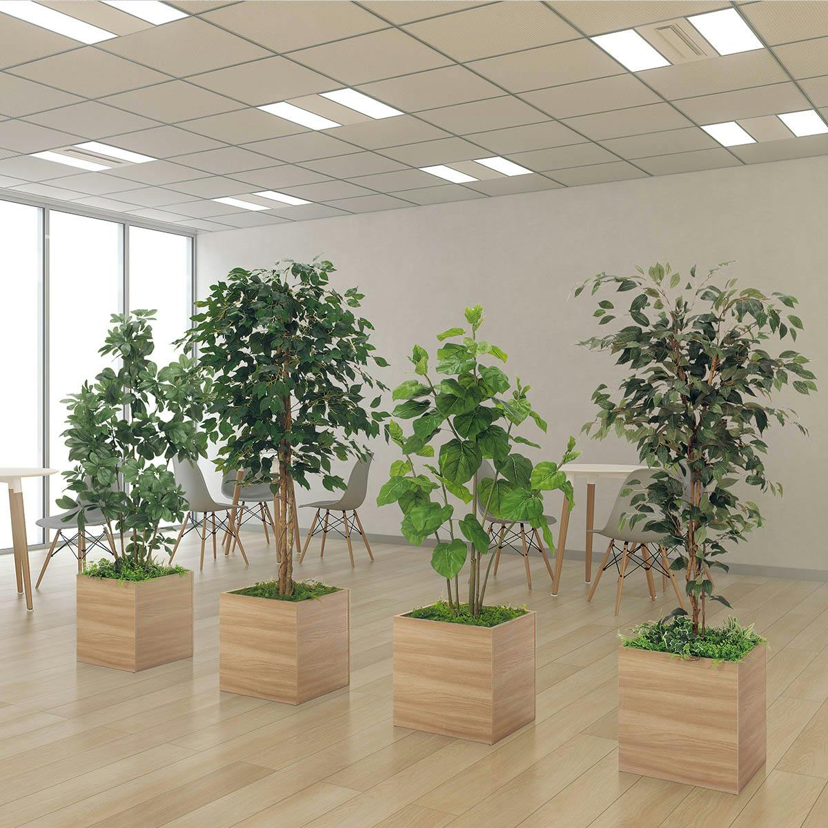 人工樹木 ワイドパーテーション GR5027×4｜グリーンモード セット商品