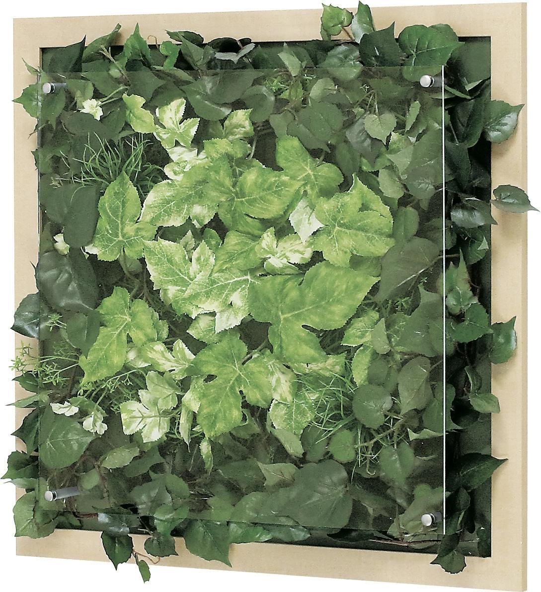 壁面緑化　ウォールグリーン　150×100