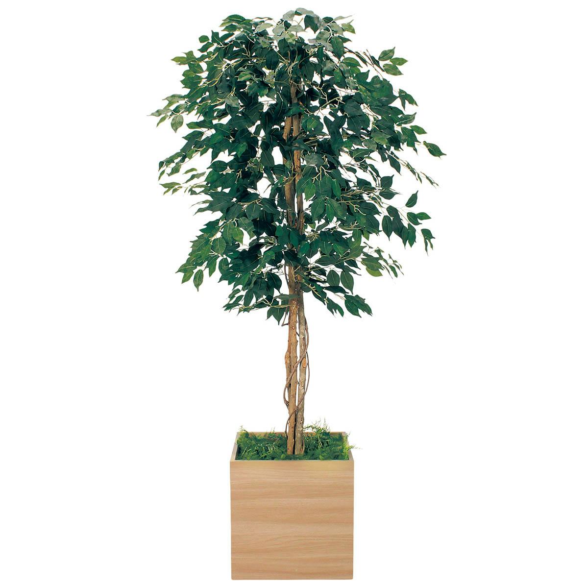 樹木プランター GR5110 H1900 シンプルフィカス｜人工観葉植物 角鉢