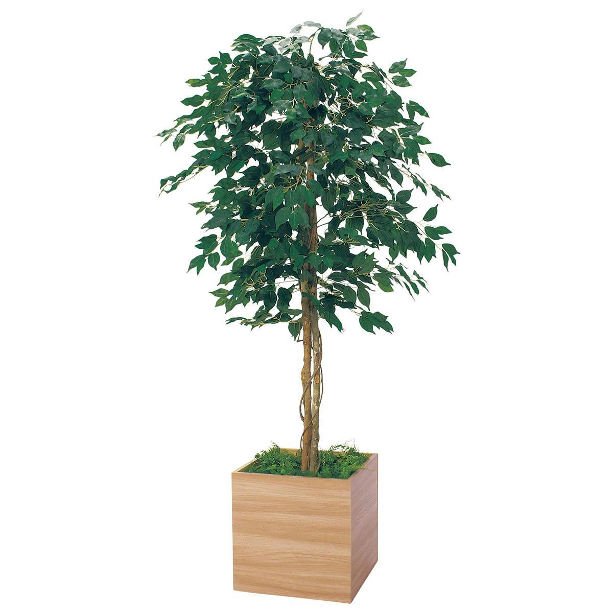 フィカス 観葉植物 四角鉢 樹木プランター GR5110 H1900 シンプルフィカス｜人工観葉植物 角鉢