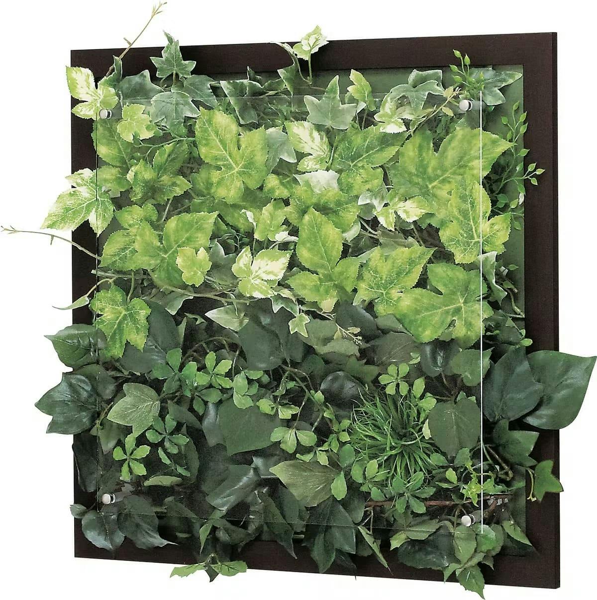 ウォールグリーン Gr3349 フェイクグリーン 壁掛け 木目フレーム セピア ウォールグリーン Gr3349 フェイクグリーン 壁掛け 木目フレーム セピア