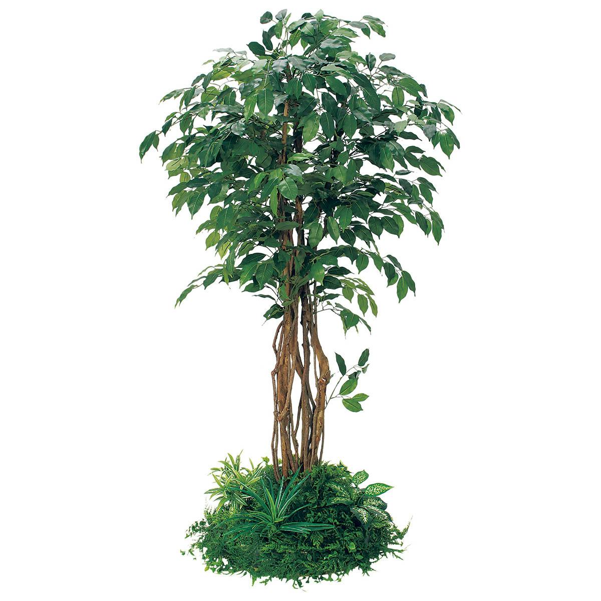 テーブル樹木 GR5141 H1800 フィカスベンジャミン｜人工観葉植物 円