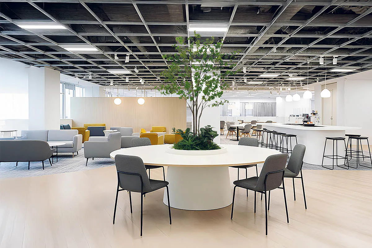 GR5146　施工事例