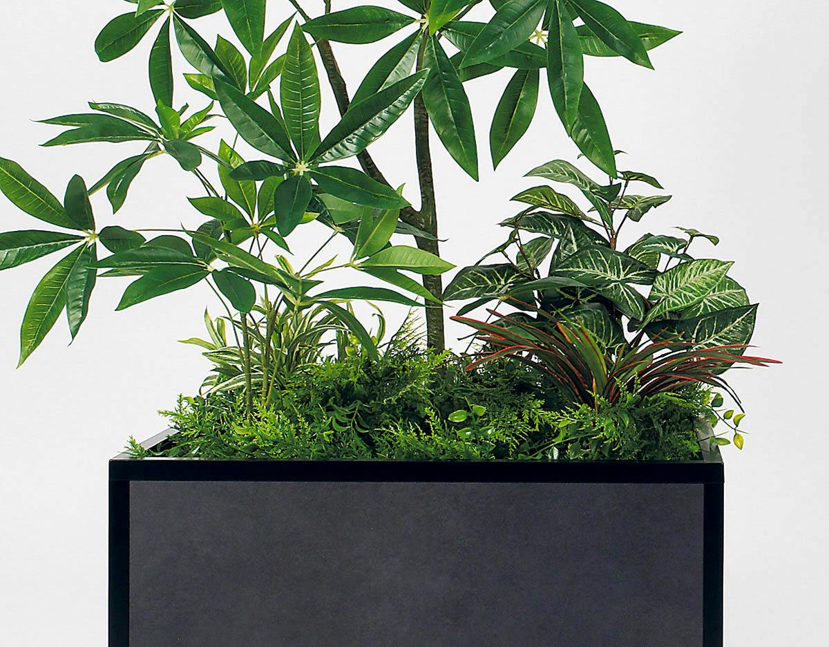 寄せ植えプランター GR5151 パキラ H1500｜人工観葉植物 樹木