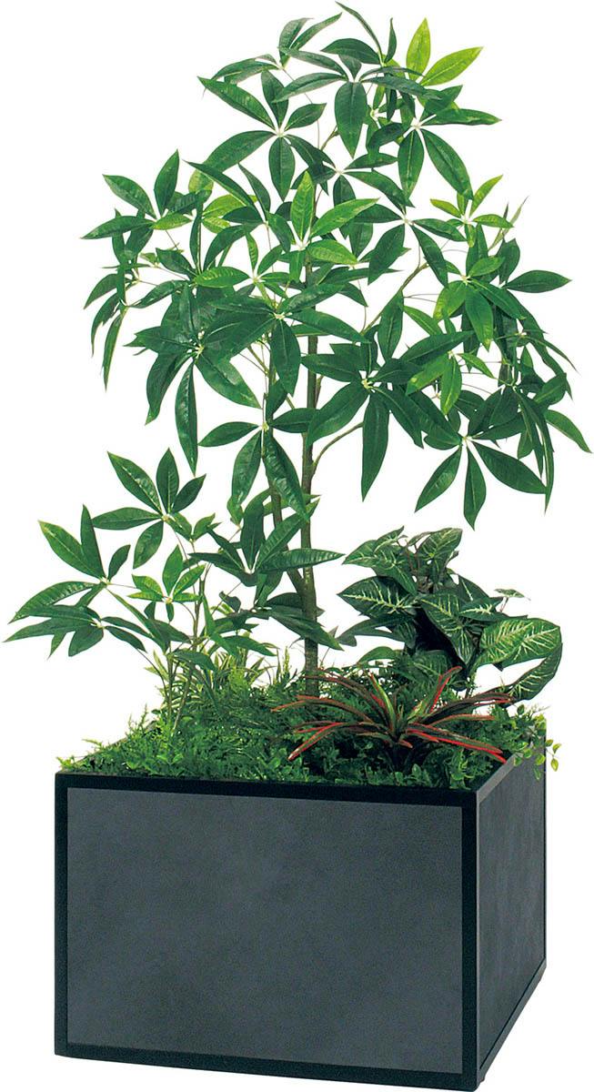 寄せ植えプランター GR5029 フィカスベンジャミン H1700｜人工観葉植物