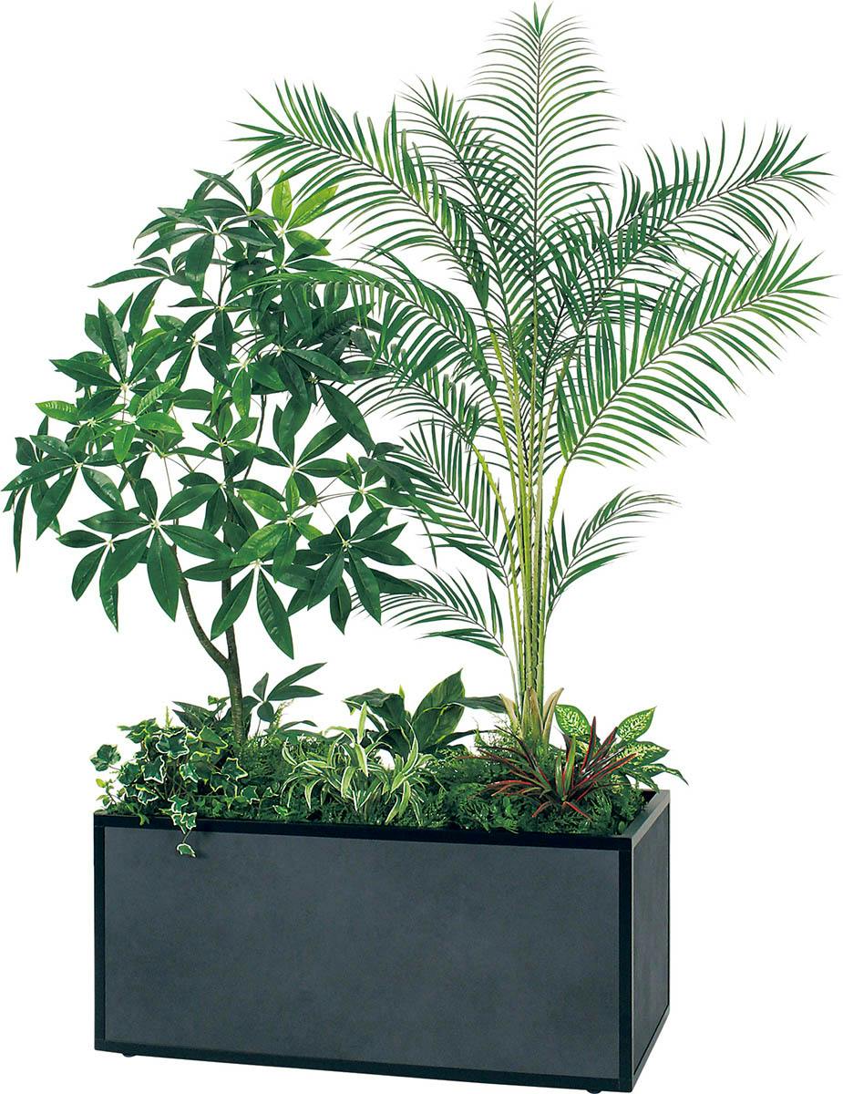 寄せ植えプランター GR5037 シェフレラ H1750｜人工観葉植物 連接樹木