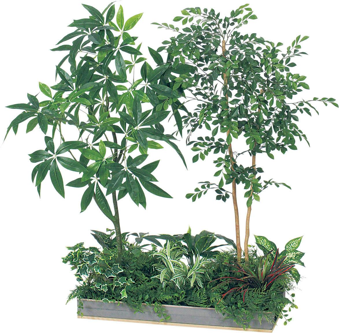 人工観葉植物のパキラの魅力とは?本物との違いも紹介|おすすめ 比較 通販 人工観葉植物のパキラの魅力とは?本物との違いも紹介|おすすめ 比較 通販