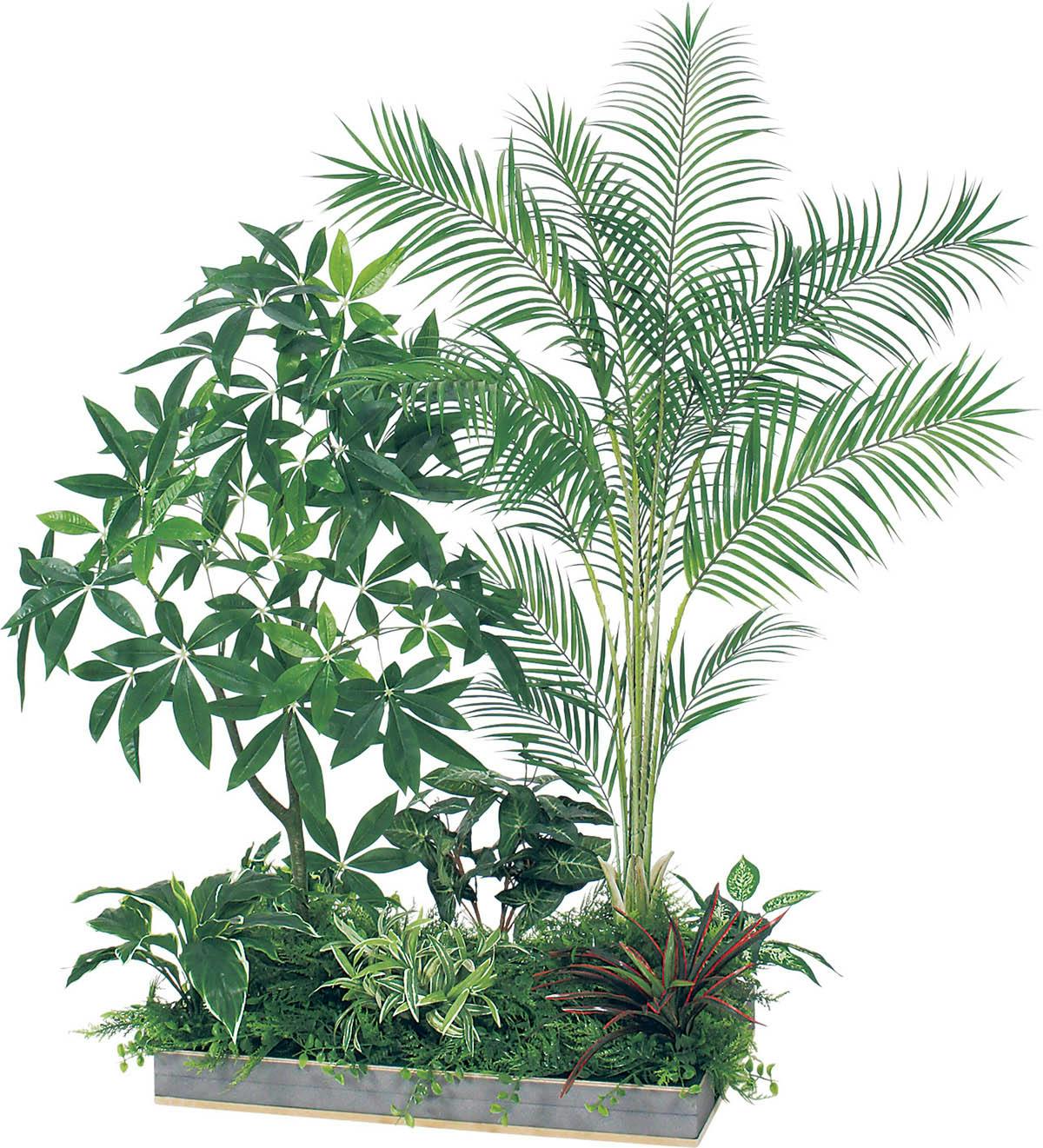 ボックスプランター GR5065 アレカヤシ H2000 ｜人工観葉植物 樹木