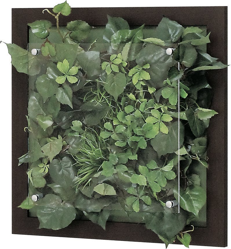 ウォールグリーン Gr3341 フェイクグリーン 壁掛け 木目フレーム セピア ウォールグリーン Gr3341 フェイクグリーン 壁掛け 木目フレーム セピア