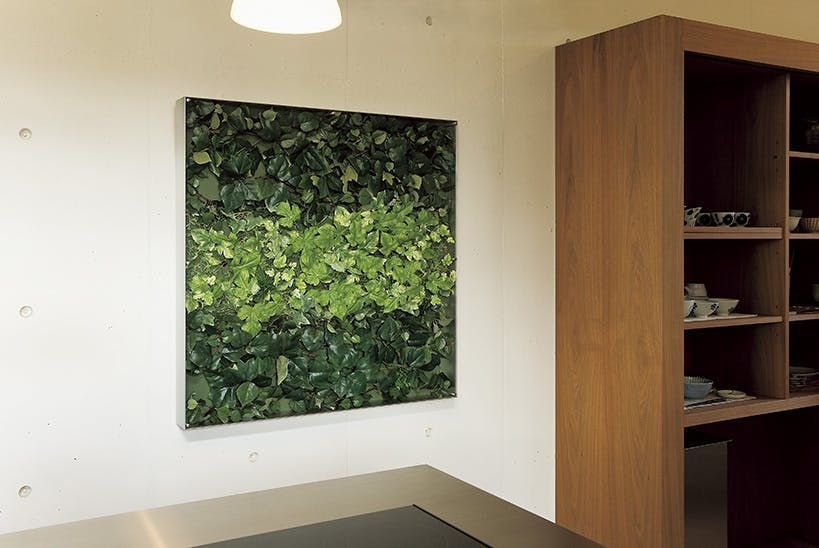 ウォールグリーン GR3118 ｜フェイクグリーン 壁掛け BOXフレーム